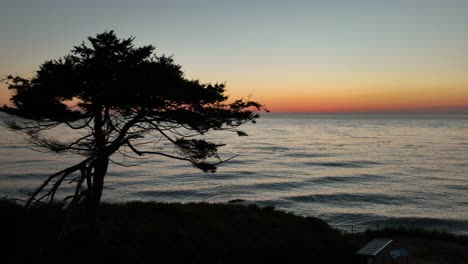 Silhouette-Eines-Einzigartigen-Baums-Bei-Sonnenuntergang-Mit-Blick-Auf-Den-Ozean