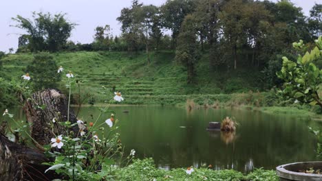 Lush-green-garden-scene-with-circular-pond
