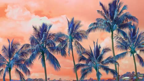 Acid-LSD-trip-palm-trees,-orange-background