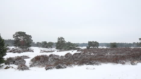 Long-pan-of-snow-covered-natural-park
