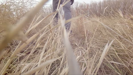 Walking-in-tall-grass---lens-flares-slow-motion