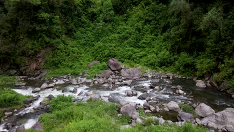 Cascading-Creek-Waters-Yungas-Reservat,-Tucuman