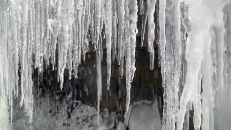 Close-up-of-water-drops-falling-off-melting-icicles