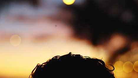 Mücke-Fliegt-über-Der-Silhouette-Eines-Männlichen-Kopfes-Bei-Sonnenuntergang-In-Der-Karibik