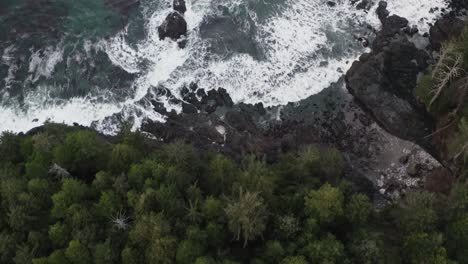 Drone-shot-flying-over-forest-to-reveal-the-Pacific-Ocean-on-Vancouver-Island,-British-Columbia