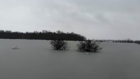A-drone-encircles-small-bushes-frozen-in-Creve-Coeur-Lake,-St