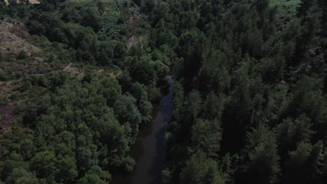 Fluss-Fluss-Chambre-Au-Loup-Tal,-Brocéliande-Wald,-Bretagne-In-Frankreich