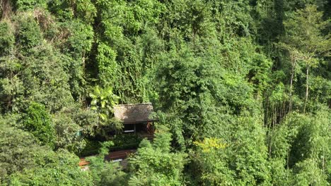 Tilting-view-starting-from-above-rural-remote-wooden-hut-in-amongst-dense-thick-jungle-trees-tilting-up-to-tree-canopy-skyline