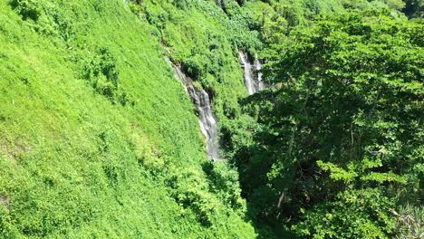 Aerial-view-above-the-tree-tops-showing-waterfalls-in-the-dense-rain-forest-in-Reunion-Island,-Indian-Ocean