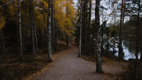 Vista-Pov-Caminando-Por-Un-Camino-Forestal-Húmedo,-Sombrío-Día-De-Otoño-En-Escandinavia