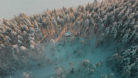 Aerial,-tilt-up,-drone-shot,-away-from-a-watch-tower,-in-the-middle-of-snowy-pine-tree-forest,-at-sunset,-on-the-coast-of-lake-Saimaa,-on-a-sunny,-winter-evening,-in-Vuoniemi,-Pohjois-Karjala,-Finland