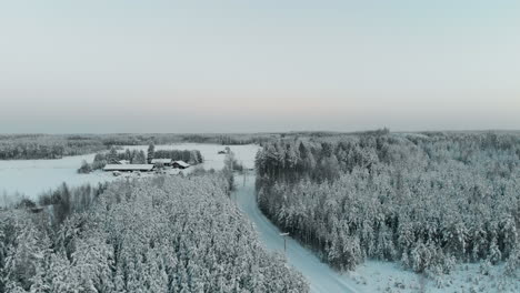 Aerial,-tracking,-drone-shot,-panning-above-wintry-trees,-overlooking-a-snowy-farm-and-a-road,-on-the-Karelian-countryside,-on-a-sunny,-winter-evening,-at-Vuoniemi,-in-Pohjois-Karjala,-Finland