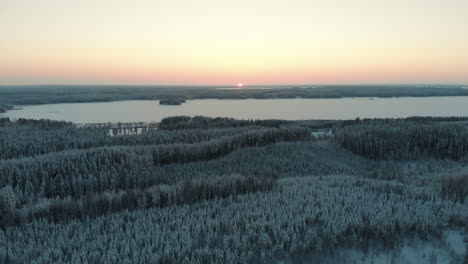Aerial,-drone-shot,-over-snowy-trees-and-finnish-forest,-at-sunset,-towards-the-frozen-lake-Saimaa,-on-a-sunny,-winter-evening,-at-Pyhaselka,-Vuoniemi-cape,-in-Pohjois-Karjala,-Finland
