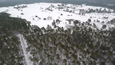 Flying-over-snow-covered-trees-and-sand-dunes