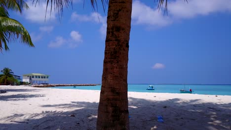Bajo-La-Sombra-De-Una-Palmera-En-Maldivas,-Una-Cacerola-Lenta-Que-Revela-Una-Casa-De-Playa-A-Lo-Lejos