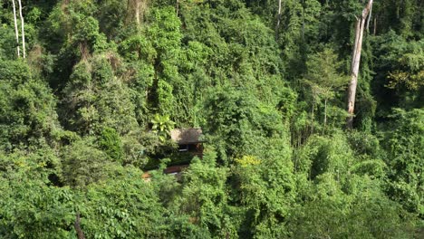 Remote-hut-in-dense-jungle-surroundings-tilting-up-to-top-of-jungle-tree-skyline