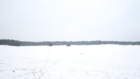 Extreme-wide-of-snow-covered-sand-dunes