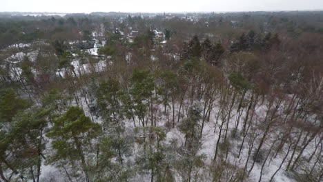 Flying-over-trees,-revealing-small-town-in-winter