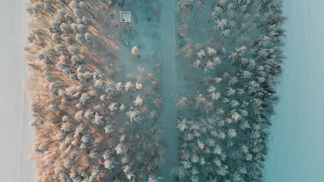 Aerial,-top-down,-drone-shot,-over-a-road-and-watch-tower,-in-the-middle-of-snowy-pine-tree-forest,-on-the-coast-of-lake-Saimaa,-on-a-sunny,-winter-evening-dusk,-in-Vuoniemi,-Pohjois-Karjala,-Finland