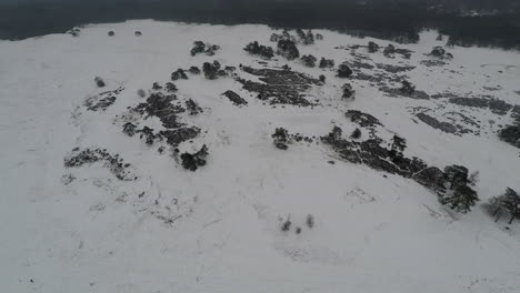 Flying-over-snow-covered-sand-dunes-with-trees