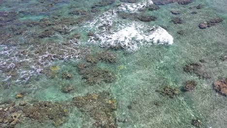 Luftaufnahme-über-Corareefs-Unter-Dem-Türkisfarbenen-Wasser-Auf-Der-Insel-La-Réunion
