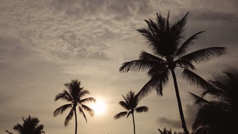 Thailand-Koh-Samui,-Palm-Tree-Silhouette-at-Sunset-with-Clouds,-Background-with-Copyspace-Looking-Up-at-the-Sky,-Silhouette-at-Tropical-Lamai-Beach-in-the-Thai-Islands,-Southeast-Asia