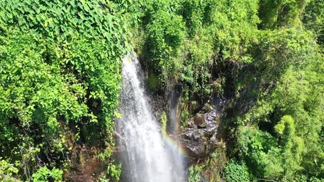 Aerial-top-down-view-of-a-large-waterfall-in-the-dense-rain-forest-on-Reunion-Island,-Indian-Ocean