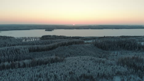 Aerial,-reverse,-drone-shot,-over-snowy-trees,-above-finnish-forest,-at-sunset,-overlooking-the-frozen-lake-Saimaa,-on-a-sunny,-winter-evening,-at-Pyhaselka,-Vuoniemi-cape,-in-North-Karelia,-Finland