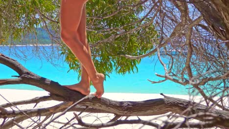 Woman-sits-in-bikini-on-tree-branch-at-a-beautiful-beach