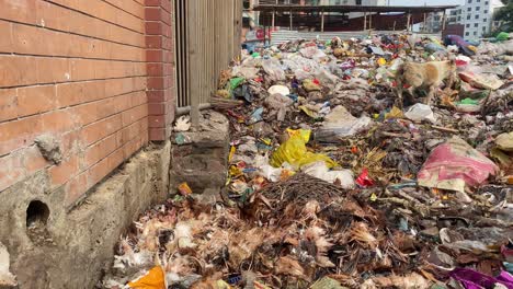 Ein-Hund,-Der-In-Einem-Müllhaufen-In-Der-Stadt-Dhaka-In-Bangladesch-Spazieren-Geht