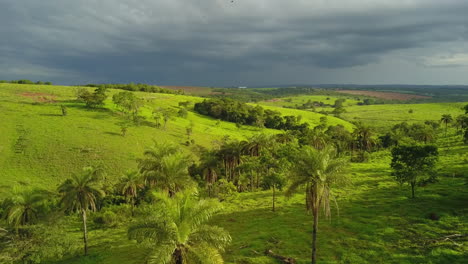Aerial-shot-of-hills-and-palm-trees-in-Brazil,-overcast-day-with-a-moment-of-sunshine-and-vibrant-green-grass-as-flying-over-rainforest
