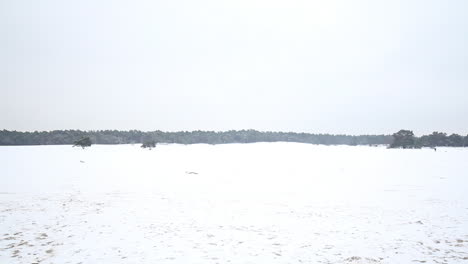 Extreme-wide-pan-of-snow-covered-sand-dunes