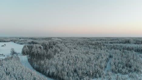 Aerial,-rising,-drone-shot,-panning-above-snowy-trees-and-wintry-countryside,-at-dawn,-on-the-coast-of-lake-Saimaa,-on-a-sunny,-winter-evening,-at-Pyhaselka,-Vuoniemi,-in-North-Karelia,-Finland