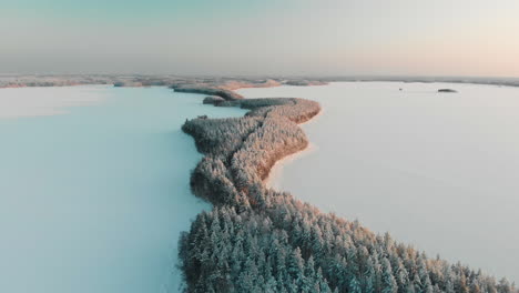 Aerial,-reverse,-drone-shot,-panning-above-a-lake-cape,-full-of-snowy-trees-and-spruce-forest,-at-sunset,-Surrounded-by-frozen-Saimaa,-on-a-sunny,-winter-evening,-in-Vuoniem,-North-Karelia,-Finland