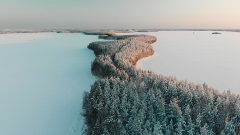 Aerial,-reverse,-drone-shot,-panning-above-a-cape,-full-of-snowy-trees-and-spruce-forest,-at-sunset,-surrounded-by-frozen-lake-Saimaa,-on-a-sunny,-winter-evening,-in-Vuoniemi,-North-Karelia,-Finland