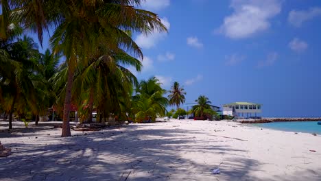 Carro-A-Lo-Largo-De-La-Hermosa-Playa-De-Palmeras-En-La-Isla-Tropical-De-Maldivas,-Sin-Gente,-4k