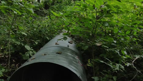 flight-to-a-drainage-pipe-in-a-ravine