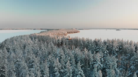 Aerial,-low-angle,-drone-shot,-towards-a-observation-tower,-in-the-middle-of-snowy,-pine-tree-forest,-on-the-coast-of-lake-Saimaa,-on-a-sunny,-winter-evening,-in-Vuoniemi,-North-Karelia,-Finland