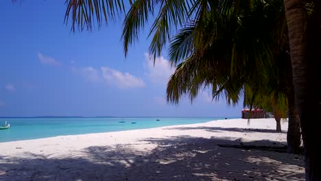 Pan-from-Coconut-tree-to-reveal-Maldives-beautiful-beach,-no-people-4k