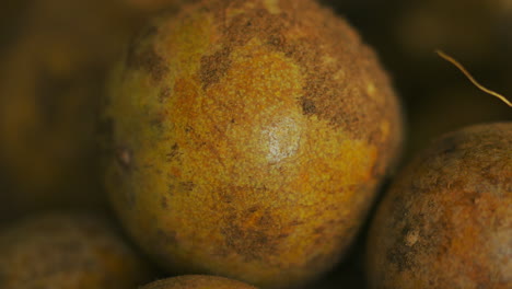 Macro-shot-of-coyol-palm-tree-fruit,-source-of-bio-diesel-and-oil