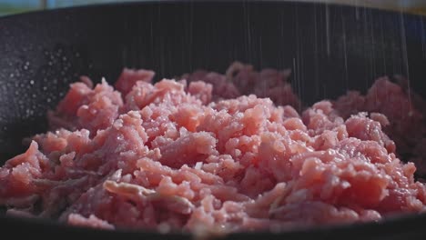 Putenhackfleisch,-Das-Beim-Kochen-Mit-Salz-Und-Gewürzen-Bestreut-Wird