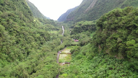 Flight-along-a-lush-valley-away-from-Grand-Galet-Falls-at-the-Cascade-Langevin-on-the-island-of-Réunion