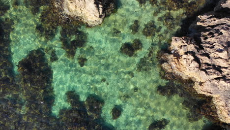 Aerial-view-of-crystal-clear-water-and-rocky-coral-coastline-near-Melbourne,-Australia