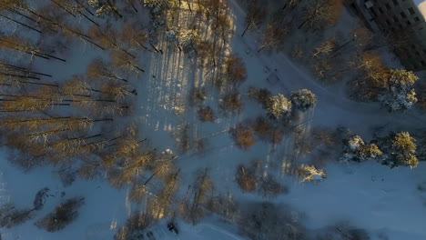 A-slow-spiralling-aerial-drone-shot-flying-directly-over-a-section-of-forest-in-a-busy-city-covered-in-sparkling-white-snow-during-winter
