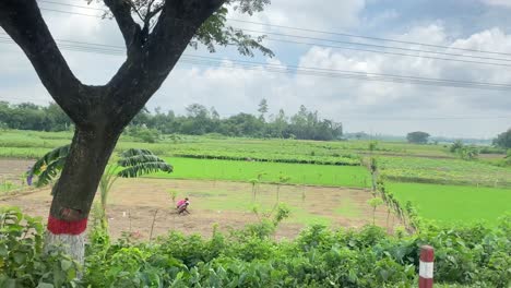 POV-shot-of-beauty-of-rural-Bangladesh-as-seen-from-train-in-a-bright-sunny-day