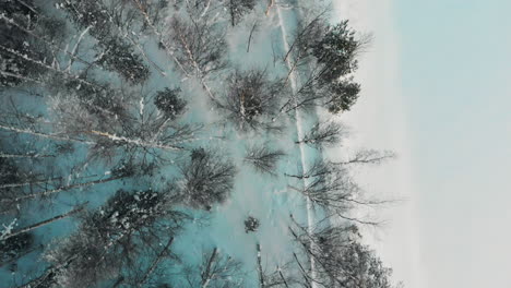 Luft,-Vogelperspektive,-Drohne-Geschossen,-über-Einer-Straße,-Zwischen-Blattlosem-Wald-Und-Dem-Gefrorenen,-Flussufer,-An-Einem-Sonnigen-Winterabend,-In-Utra,-Joensuu,-Pohjois-karjala,-Finnland