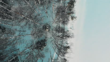 Aerial,-top-down,-drone-shot,-over-a-road,-between-forest-and-on-the-river-shore,-on-a-sunny,-winter-evening,-in-Utra,-Joensuu,-North-Karelia,-Finland