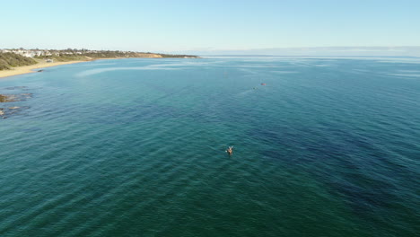 Aerial-flight-over-kayakers-enjoying-the-water-in-Sandringham,-Melbourne,-Australia