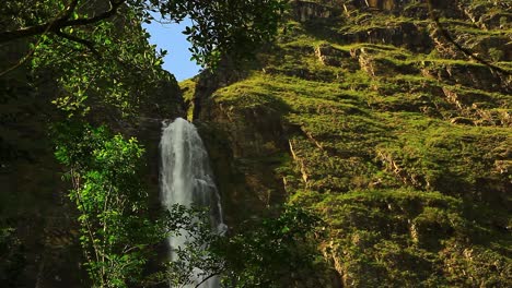 Ein-Wasserfall,-Umgeben-Von-üppigen-Grünen-Bäumen-In-Einem-Dschungel