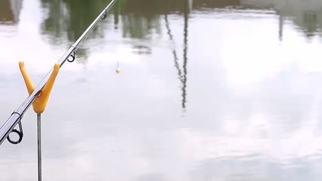 Pescar-Con-Una-Nueva-Caña-De-Pescar-En-Un-Lago-Almacen-De-Metraje-De-Video